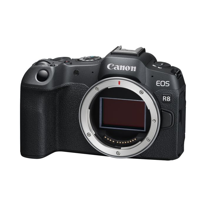 EOS R8 淨機身